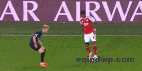 697aa049g00t729x00491d000d5006mg